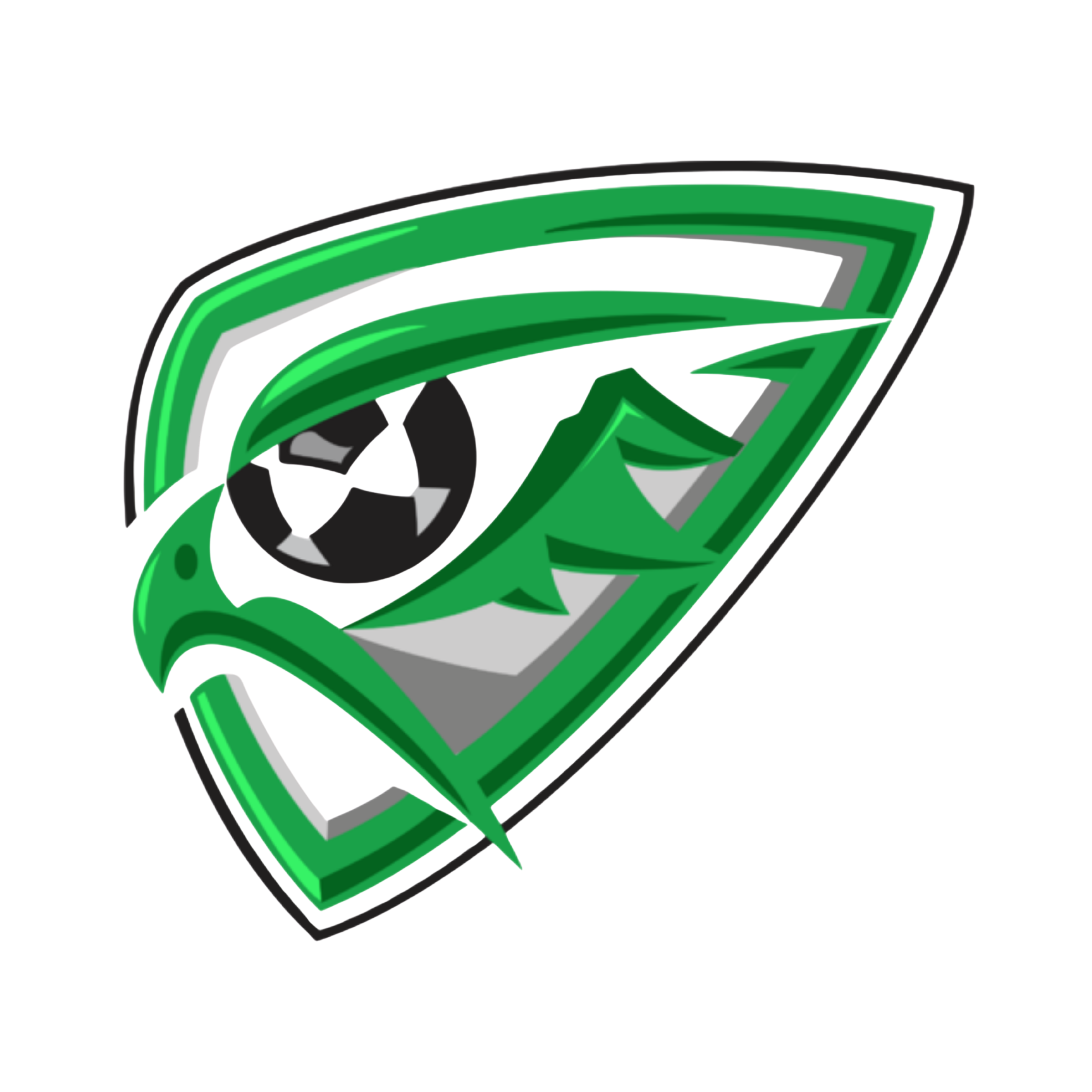 Team Logo